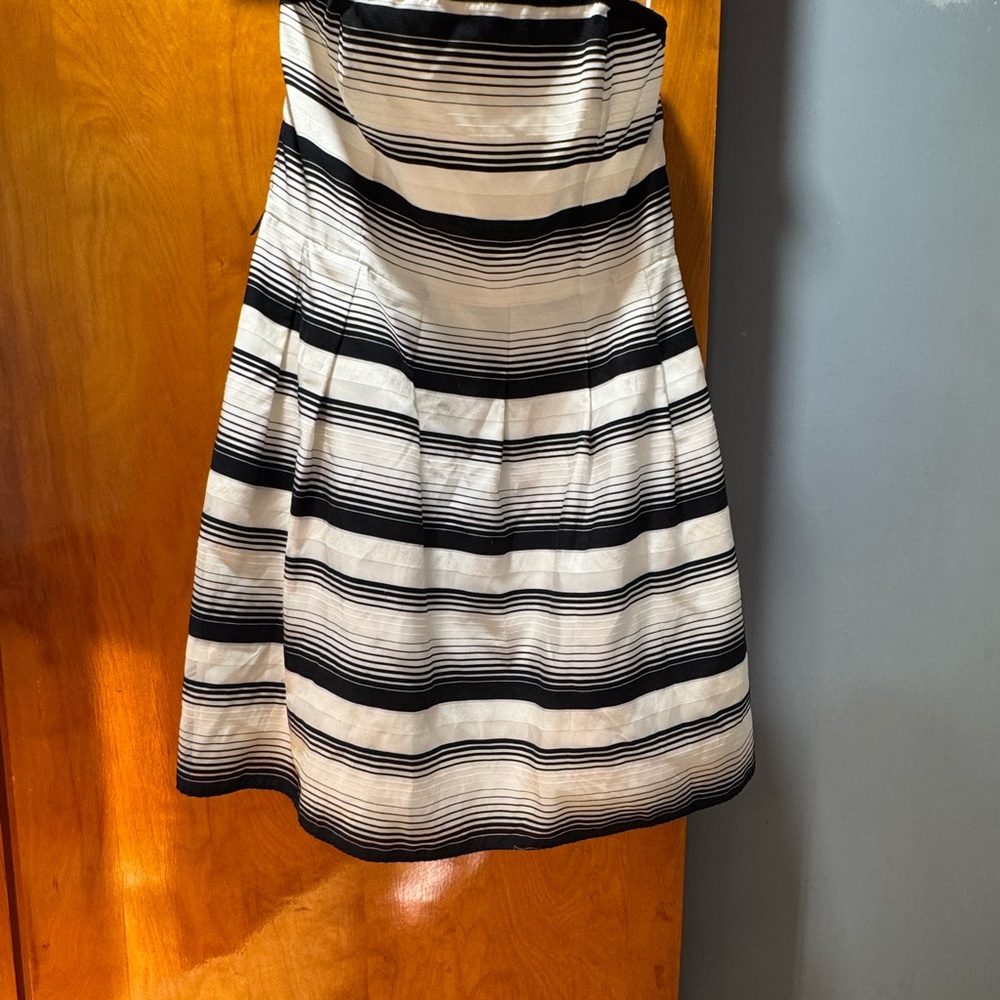 Striped Black and White Skirt